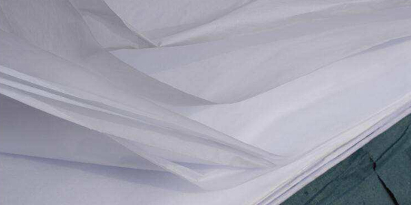 拷貝紙也有假的？該如何辨別